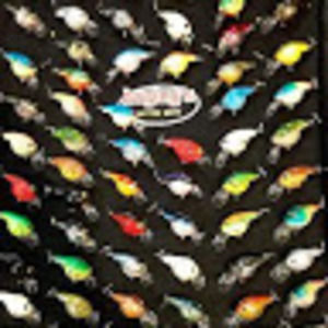 Meet your Posher, Larry